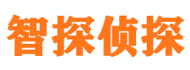 宣恩市调查公司